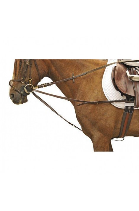 Draw reins -Triangle-
