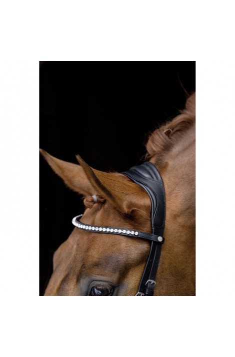 !!Bridle + reins -Pro Anatomic-