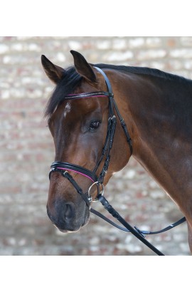 Bridle + reins for shetland pony -Star Diamond- fuchsia
