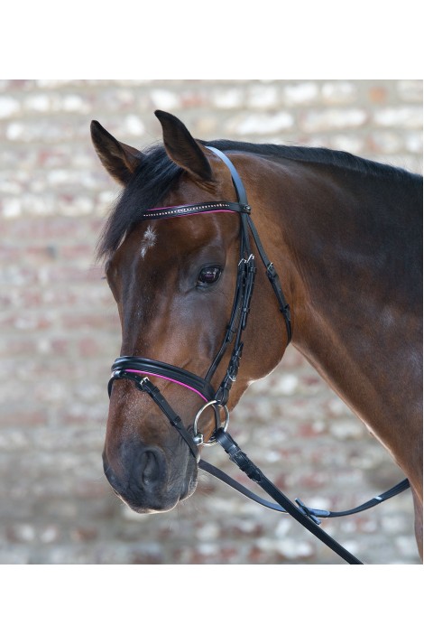 Bridle + reins for shetland pony -Star Diamond- fuchsia