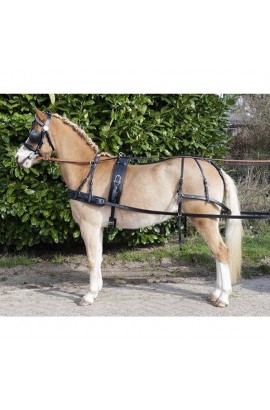 Single harness -economic-
