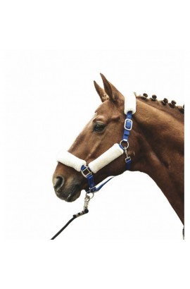 Head collar -North Pole- deep blue