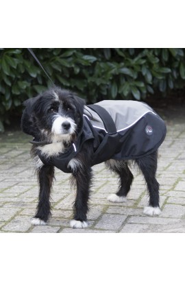dog coat -teddy-