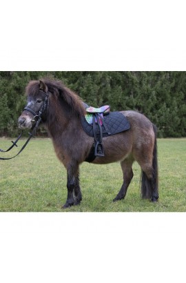 shetland pony set -colourful-